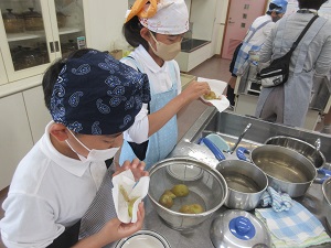 IMG_0986 IMG_0986