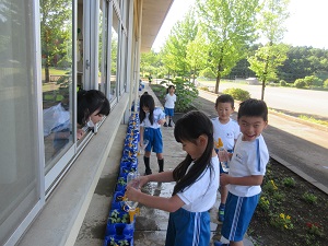IMG_1016 IMG_1016