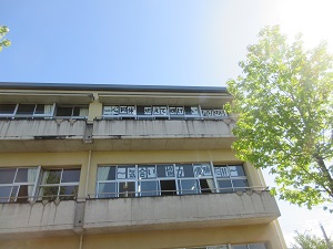 IMG_1024 IMG_1024