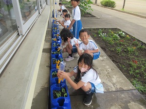 IMG_1054 IMG_1054