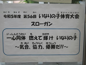 IMG_1033 IMG_1033
