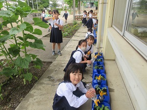 IMG_1061 IMG_1061