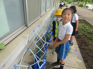 IMG_1062 IMG_1062