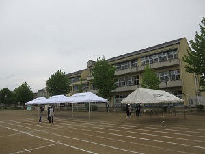 IMG_1074 IMG_1074