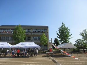 IMG_1078 IMG_1078
