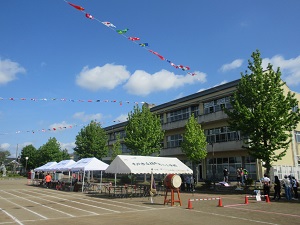 IMG_1080 IMG_1080