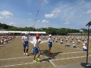 IMG_1082 IMG_1082