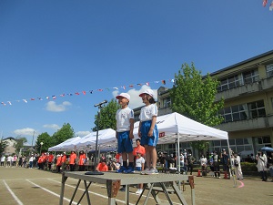 IMG_1084 IMG_1084