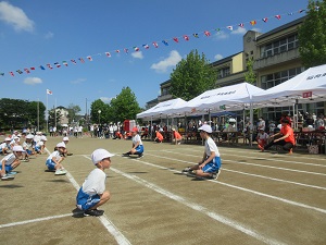 IMG_1089 IMG_1089