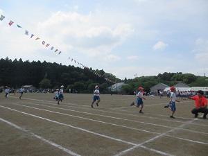 IMG_1096 IMG_1096