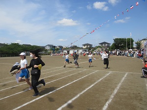 IMG_1101 IMG_1101