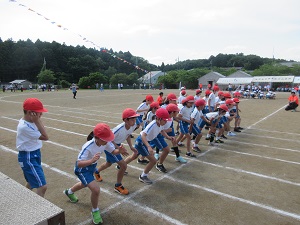 IMG_1104 IMG_1104