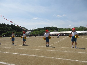 IMG_1110 IMG_1110
