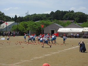 IMG_1113 IMG_1113