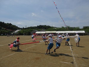 IMG_1116 IMG_1116