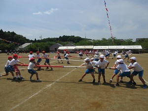 IMG_1117 IMG_1117