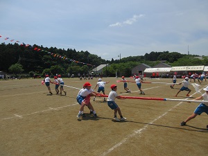 IMG_1118 IMG_1118
