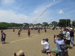 IMG_1123 IMG_1123