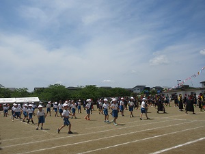 IMG_1129 IMG_1129