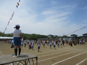 IMG_1133 IMG_1133