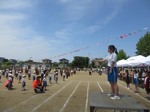 IMG_1135 IMG_1135