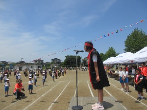 IMG_1137 IMG_1137