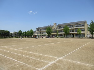 IMG_1139 IMG_1139