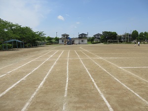 IMG_1140 IMG_1140