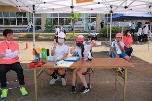 IMG_3217 IMG_3217
