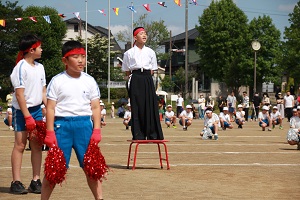 IMG_3300 IMG_3300