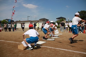 IMG_3367 IMG_3367