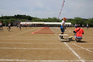 IMG_3398 IMG_3398