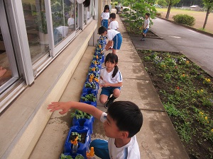 IMG_1147 IMG_1147
