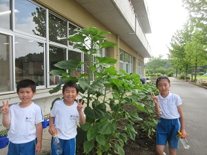 IMG_1144 IMG_1144