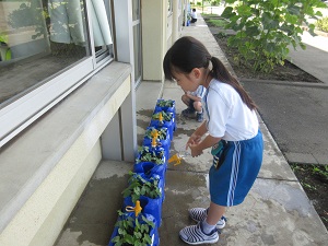 IMG_1174 IMG_1174