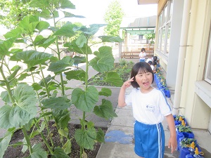 IMG_1176 IMG_1176