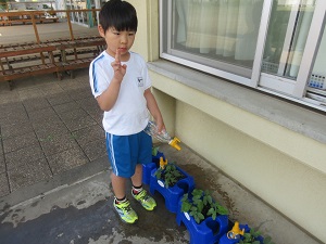 IMG_1178 IMG_1178