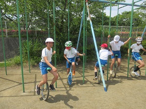 IMG_1181 IMG_1181