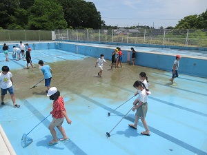 IMG_1184 IMG_1184
