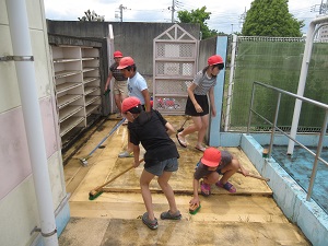 IMG_1193 IMG_1193