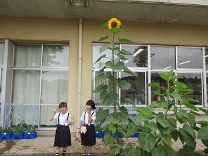 IMG_1353