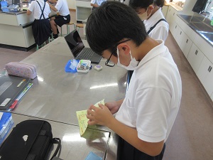 IMG_1537 IMG_1537