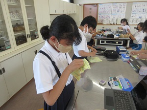 IMG_1538 IMG_1538