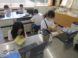 IMG_1539 IMG_1539