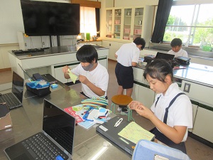 IMG_1540 IMG_1540