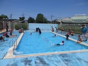 IMG_1558 IMG_1558