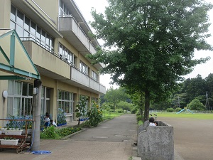 IMG_1565 IMG_1565