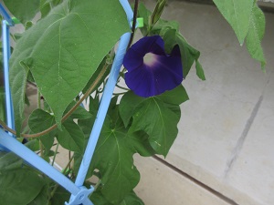 IMG_1564 IMG_1564