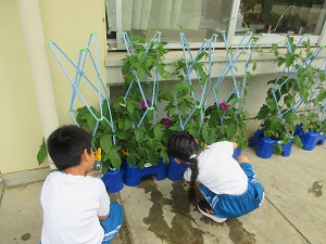 IMG_1562 IMG_1562