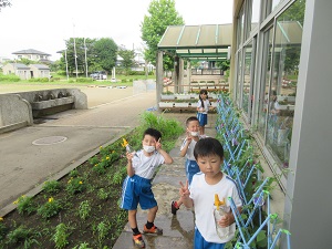 IMG_1563 IMG_1563